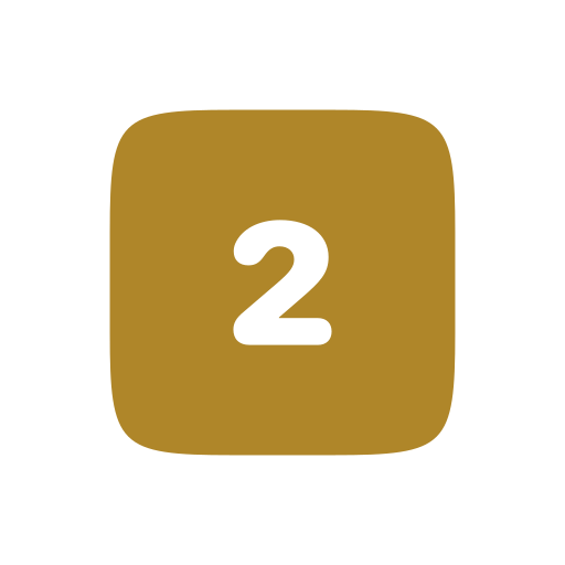 2 icon
