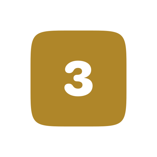 3 icon