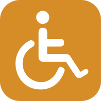 Wheelchair icon